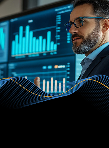 ERP Advisory